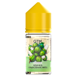 Ароматизатор для вейпа GTM Bubble Gum Goosberry Mint 14 мл