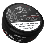 Жевательный табак KENTUCKY ORIGINAL VIBE 4 15 гр