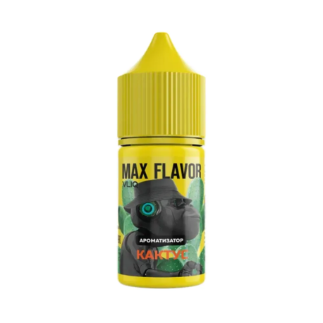 Ароматизатор forVLIQ Q MAX Flavor - Кактус