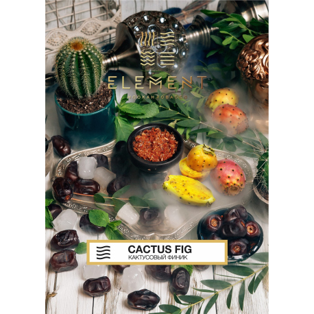 Воздух Cactus Fig 200 гр